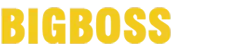Logo Bigboss